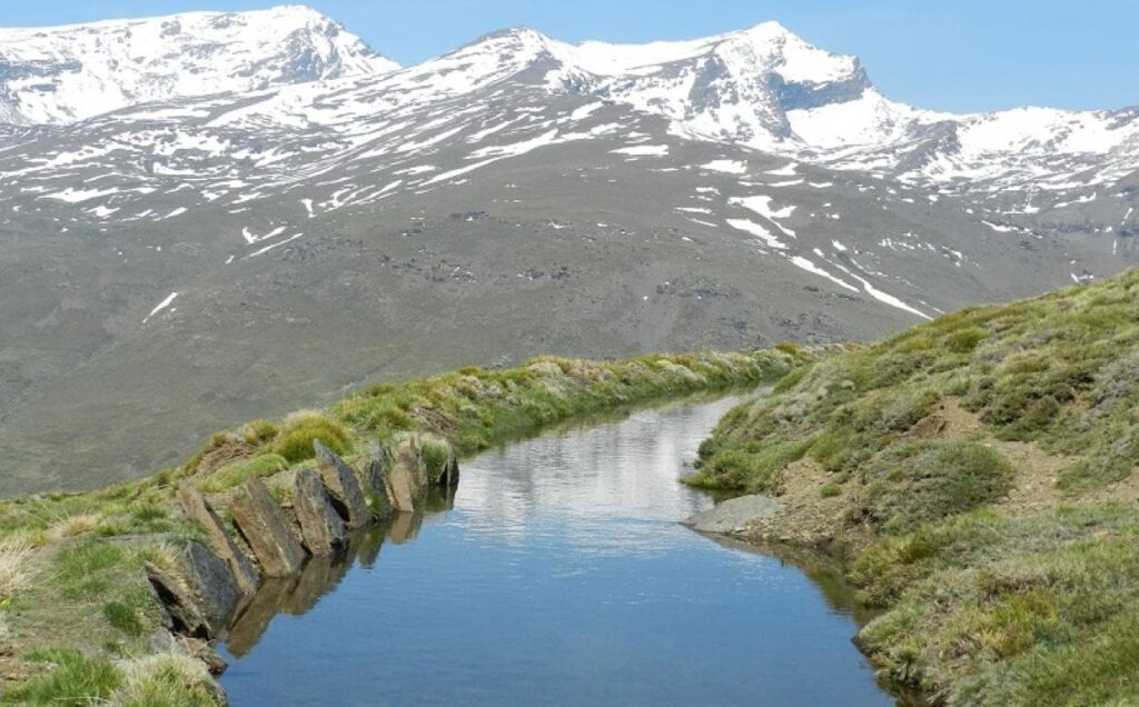 Sierra Nevada